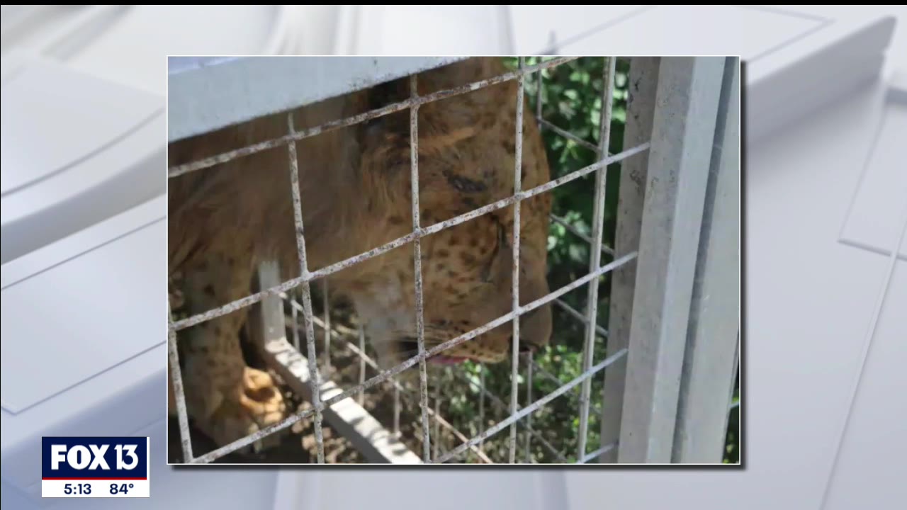 Zoo once owned by 'Tiger King' closes